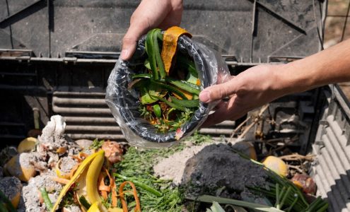 Tworzenie własnej kompostowni – ekologiczne podejście do gospodarowania odpadami