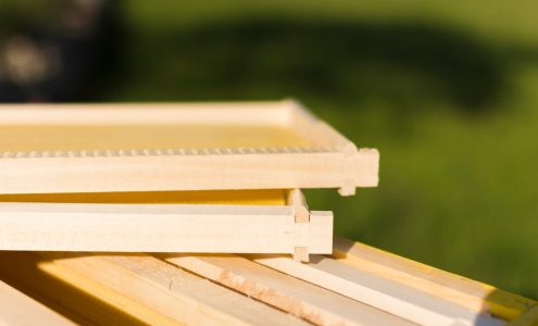 Jak wybrać idealne drewno do budowy tarasu: poradnik dla początkujących