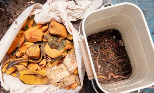 Tworzenie ekologicznego kompostu – praktyczne wskazówki dla ogrodników