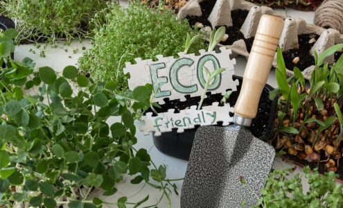 Tworzenie ekologicznego domu i ogrodu – praktyczne wskazówki