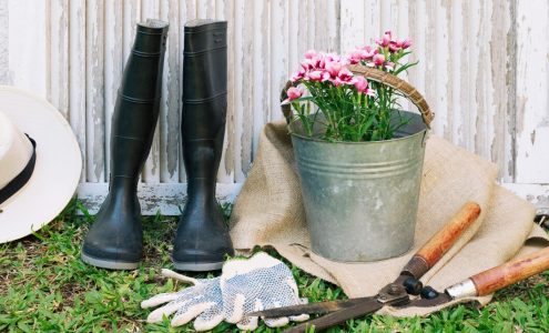Jak wybrać odpowiednie narzędzia do prac ogrodowych – praktyczne porady