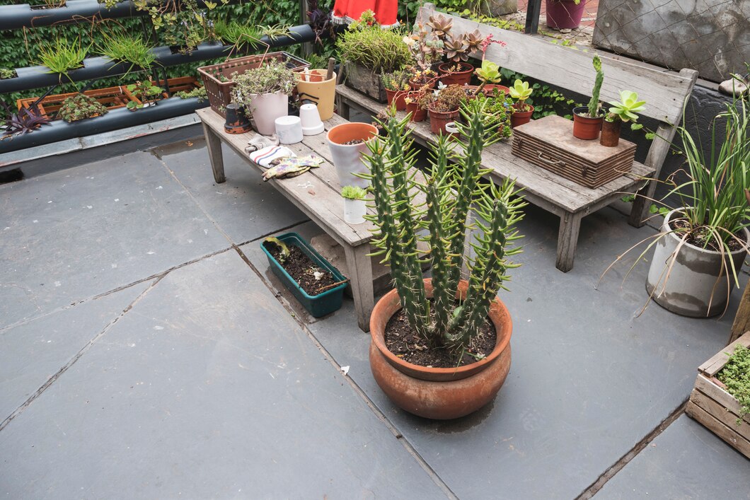 Twój własny zielony kącik – poradnik do tworzenia mini ogrodów na balkonie
