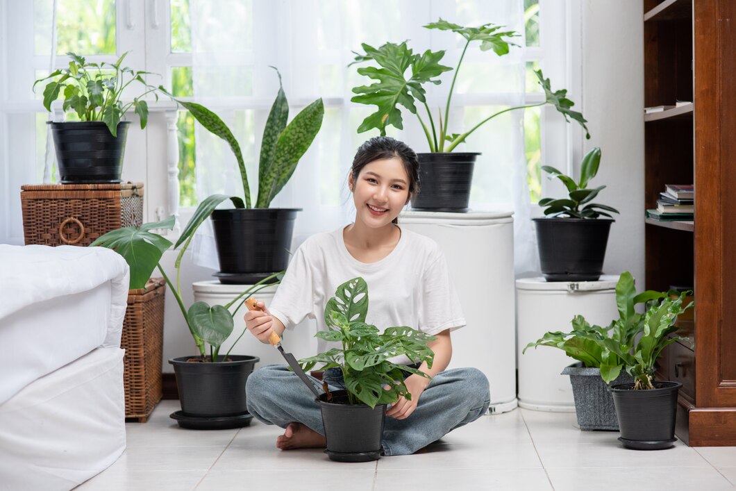 Jak uprawiać egzotyczne rośliny w domowych warunkach?