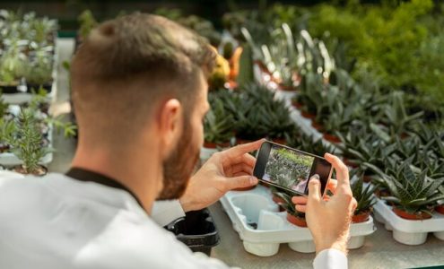 Jak technologia smart home może zmienić sposób, w jaki dbamy o nasz ogród?