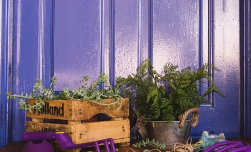 Kreatywne zastosowanie kolorów w aranżacji wnętrz i ogrodów: Inspiracje i porady