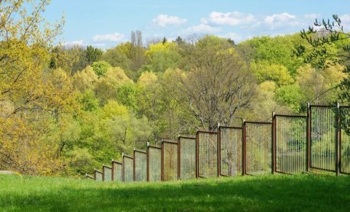 Jakie ogrodzenie najlepiej zapewni prywatność w Twoim ogrodzie?