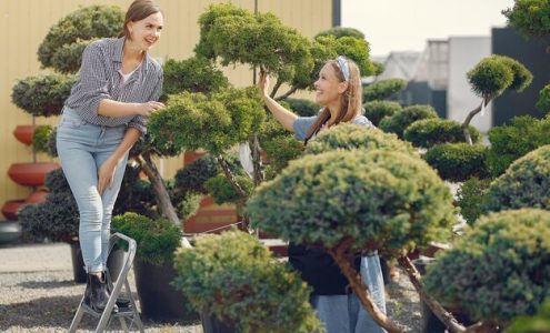 Sztuka Formowania Krzewów: Jak Nadać Ogrodowi Unikalny Charakter
